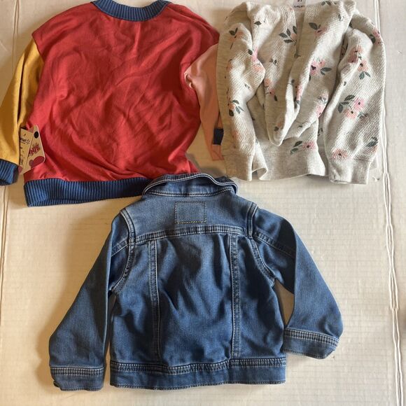 Baby Girl Clothing Lot Size 18 Months Fall Jean Jacket Sweaters Pants 4 Piece - Picture 11 of 15